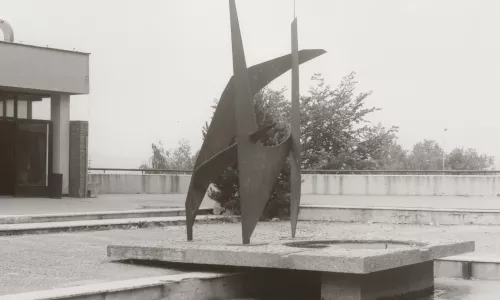 D030 Prostorová plastika Mrtvý pták / Pták